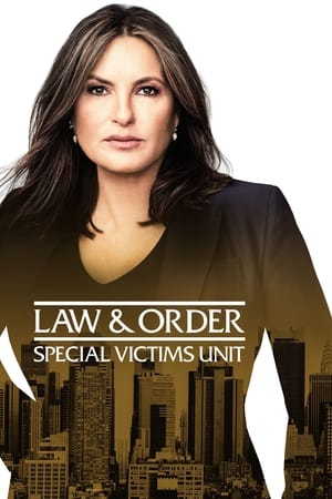 Law & Order: Special Victims Unit (1999) 25x12