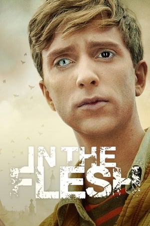 In the Flesh (2013) 2x6
