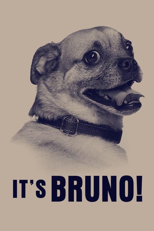 It's Bruno! (2019) 1x8