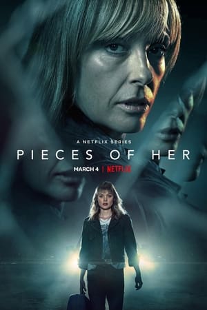 Pieces Of Her (2022) 1x8