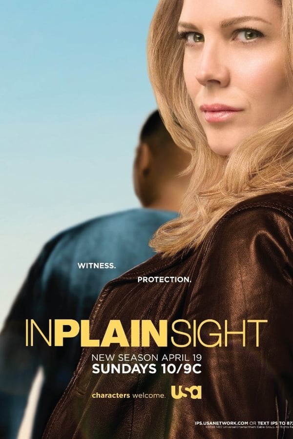 In Plain Sight (2008) 5x8