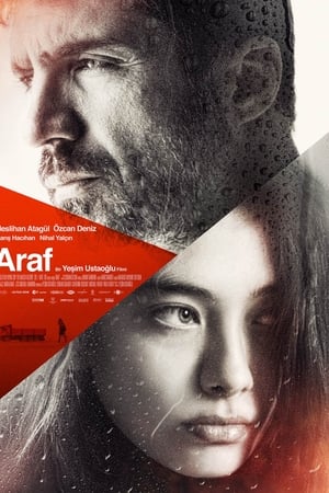 Araf/Somewhere in Between (2012)