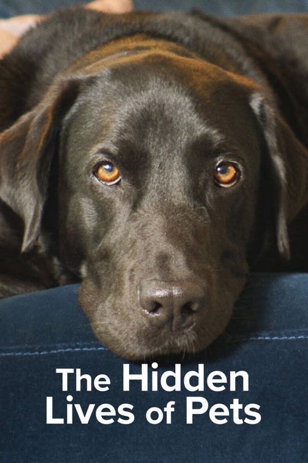 The Hidden Lives of Pets (2022) 1x4