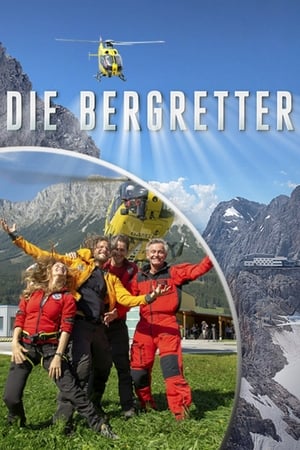 Die Bergretter Aka Rescue in the Alps (2009)