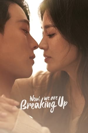 Now, We Are Breaking Up Aka Jigeum, Heeojineun Jungibnida (2021)