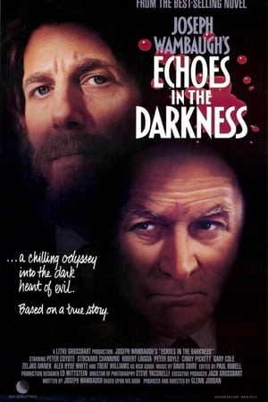 Echoes in the Darkness (1987) 
