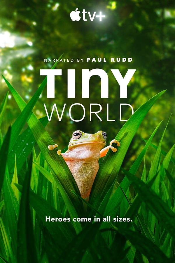 Tiny World (2020) 1x6