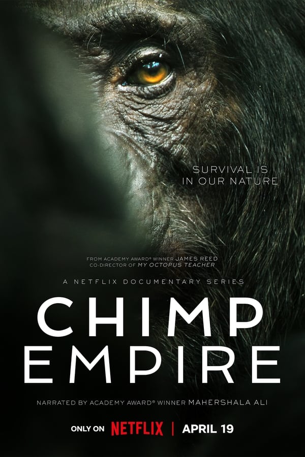 Chimp Empire (2023) 1x4