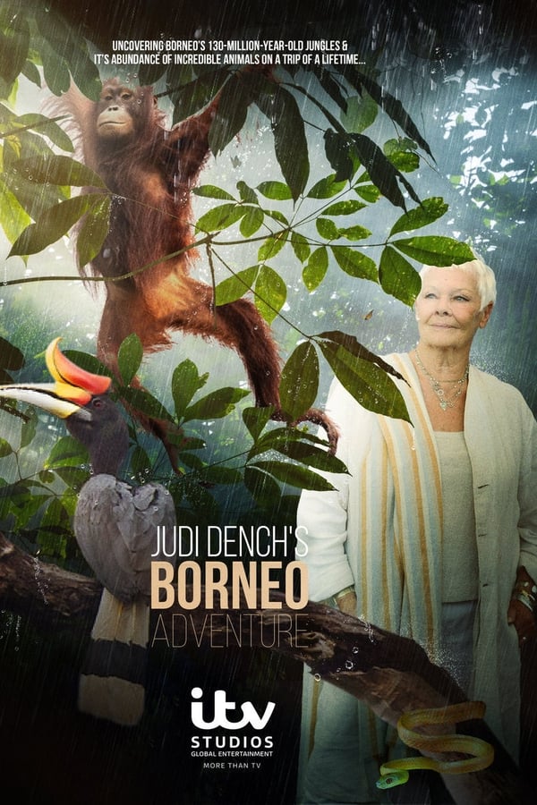 Judi Dench's Wild Borneo Adventure (2019) 1x2